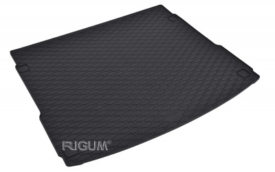 Rubber mats suitable for AUDI Q5 Sportback 2021-