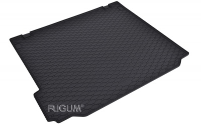 Rubber mats suitable for BMW X5 2013-