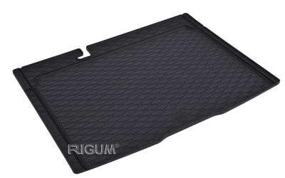 Rubber mats suitable for DACIA Sandero 2021-