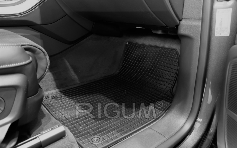 Резиновые коврики подходят для автомобилей AUDI Q8 2019-