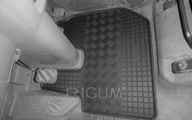 Rubber mats suitable for DAF LF Euro 6 2013-