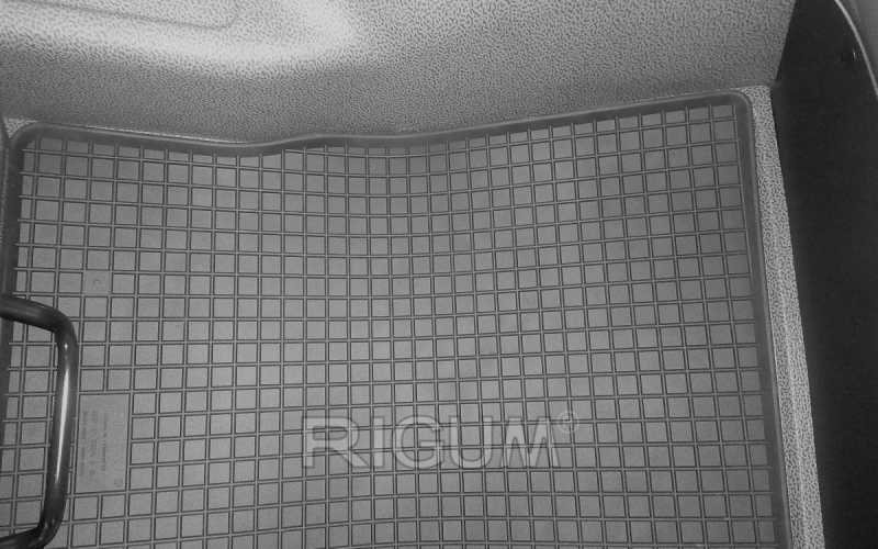 Резиновые коврики подходят для автомобилей DAF XF Euro 6 2013-