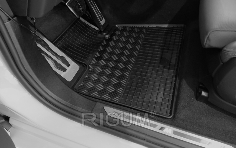 Rubber mats suitable for BMW X6 2019-