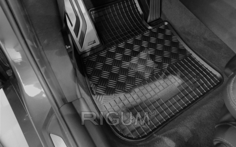 Rubber mats suitable for BMW X1 2016-