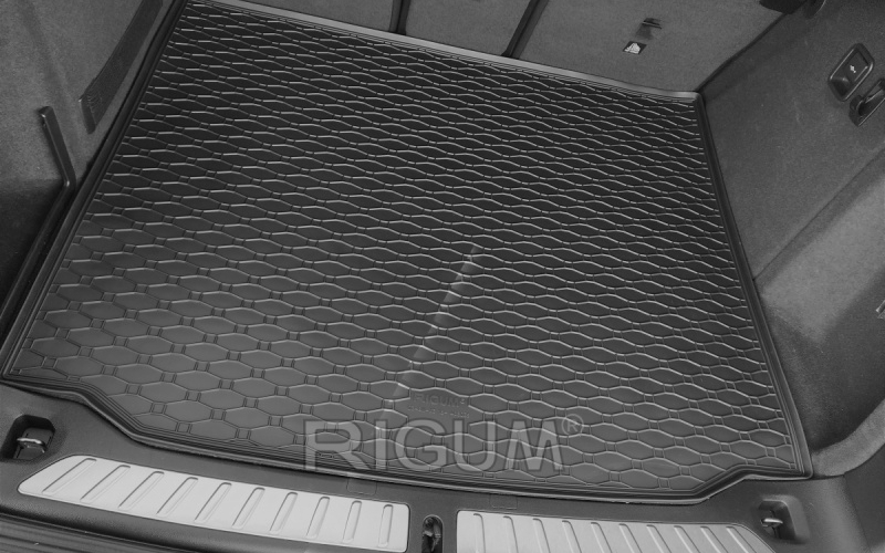 Rubber mats suitable for BMW X3 2018-