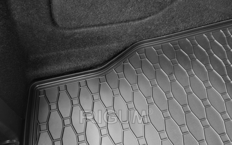 Rubber mats suitable for BMW 1 5-door hatchback 2011-