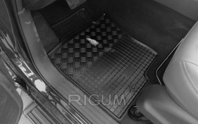 Rubber mats suitable for Dongfeng DF6 2017-
