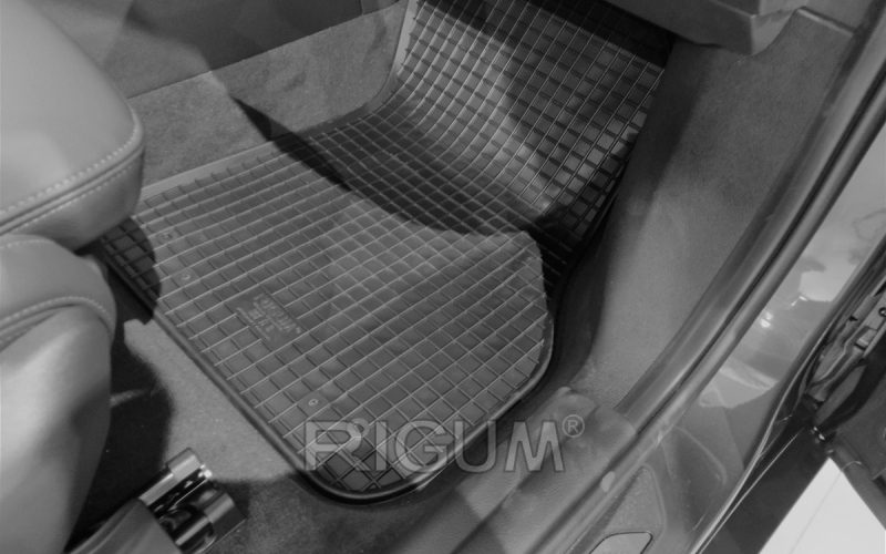 Rubber mats suitable for BMW X1e 2022-